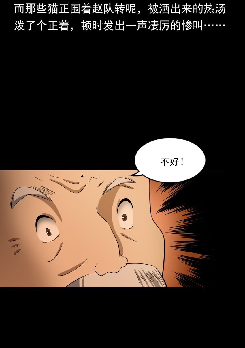060 苗山猫妖