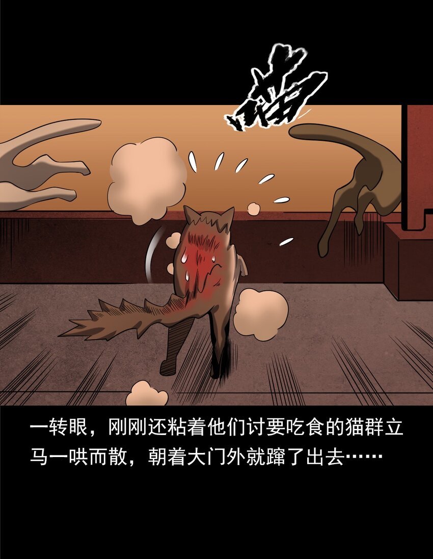 060 苗山猫妖