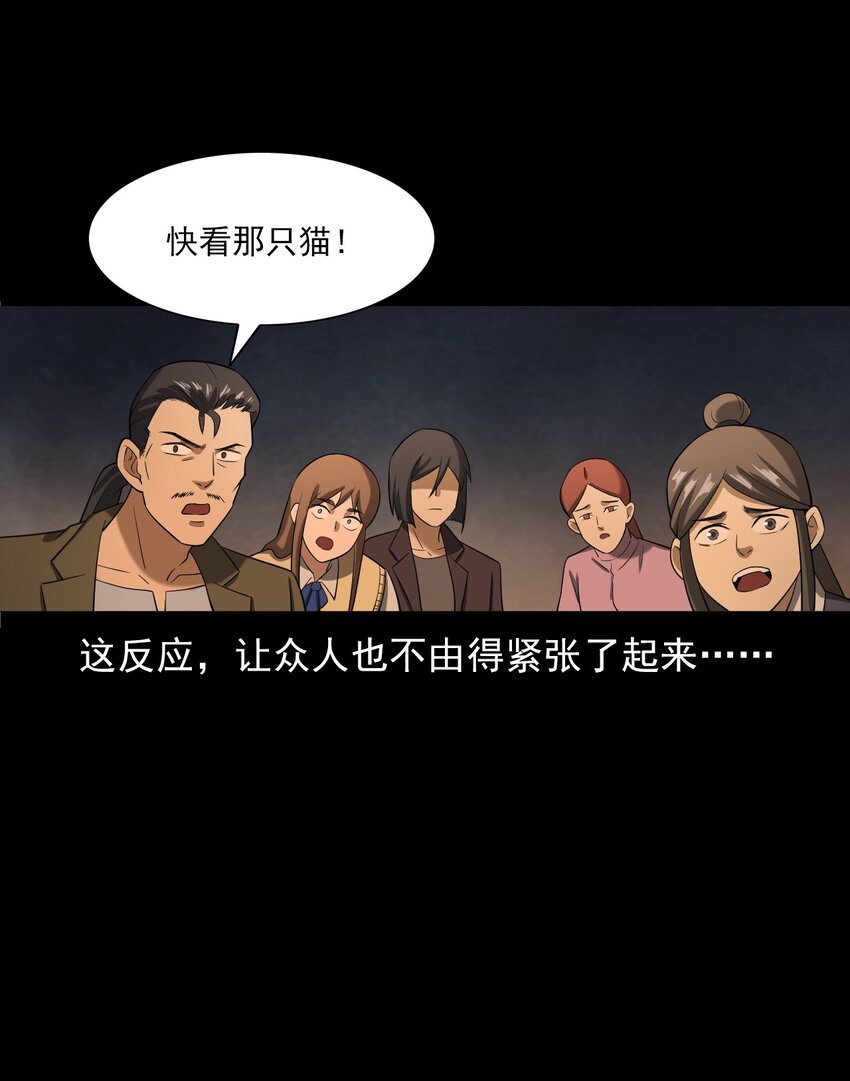 060 苗山猫妖