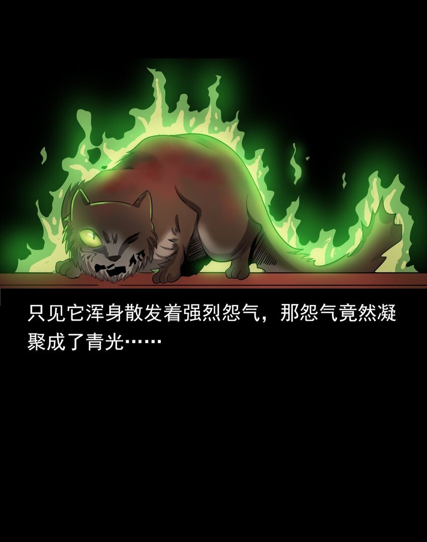 060 苗山猫妖