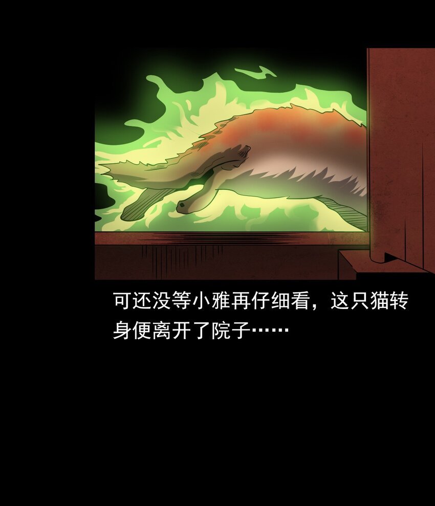 060 苗山猫妖