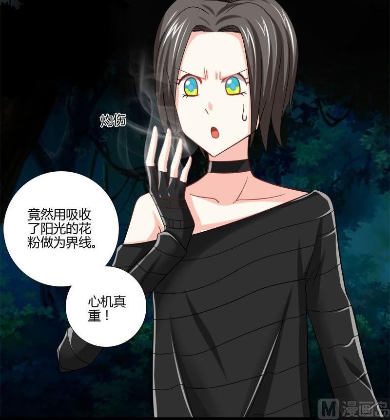 第12话 林中的陌生人