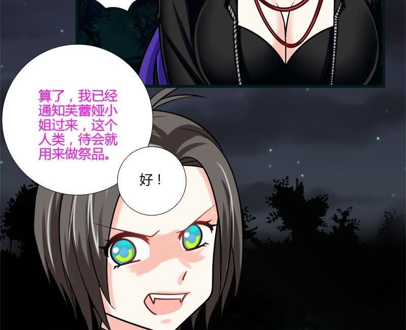 第12话 林中的陌生人