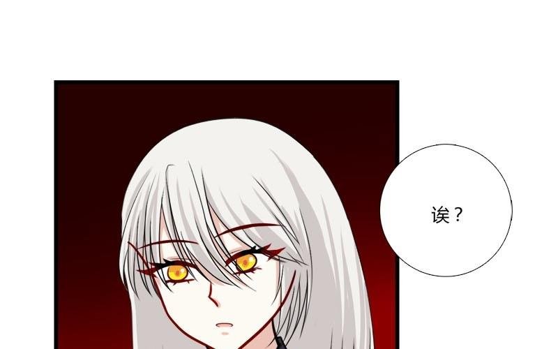 第17话 圣光，分身消失