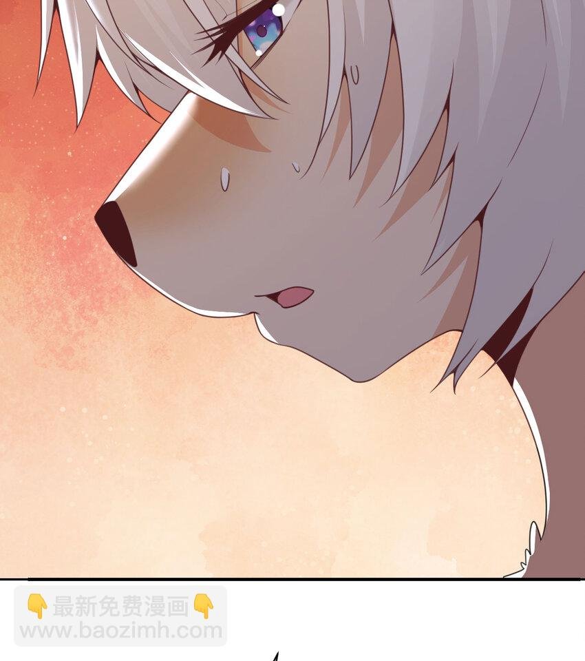18 房东太太