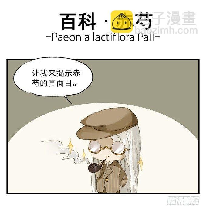 无忧不记年（二）