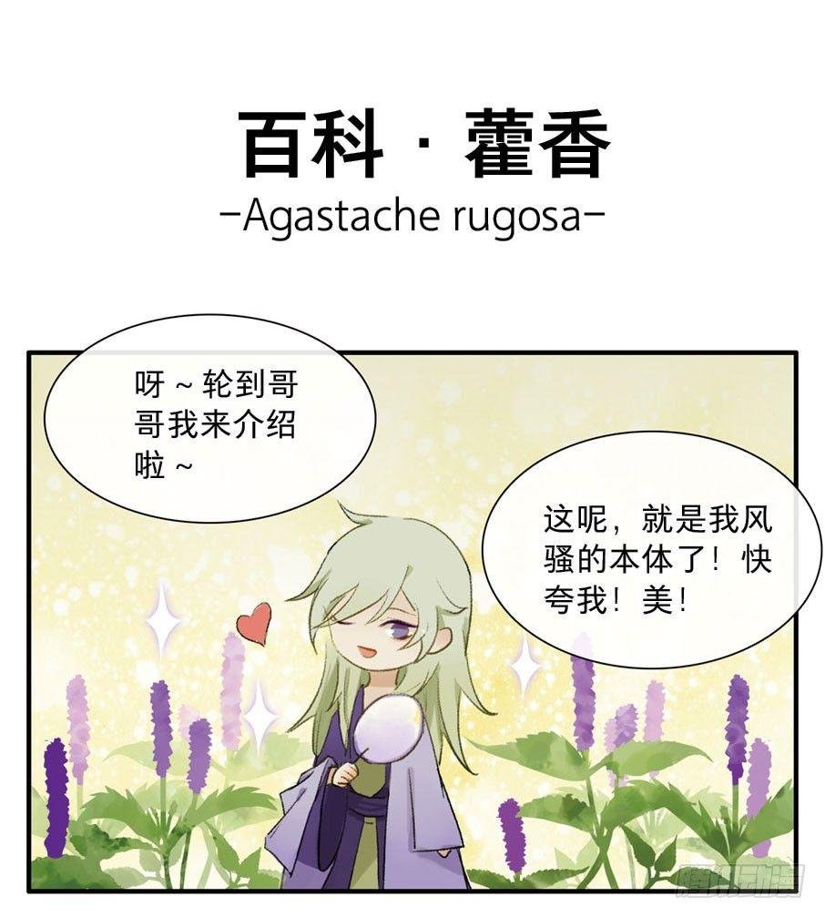 四格·药精们的日常⑤