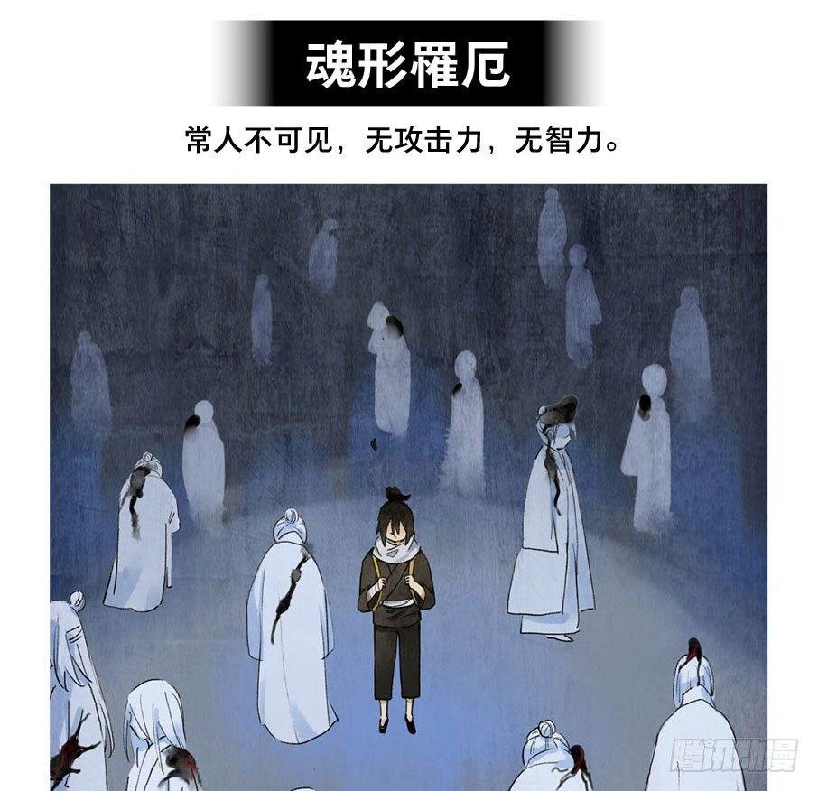 小神龙的花絮