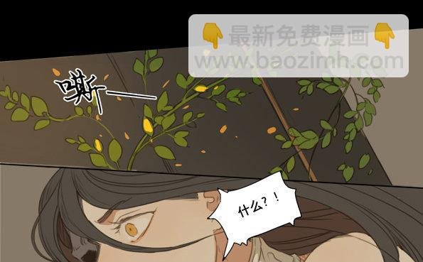 交锋（五）