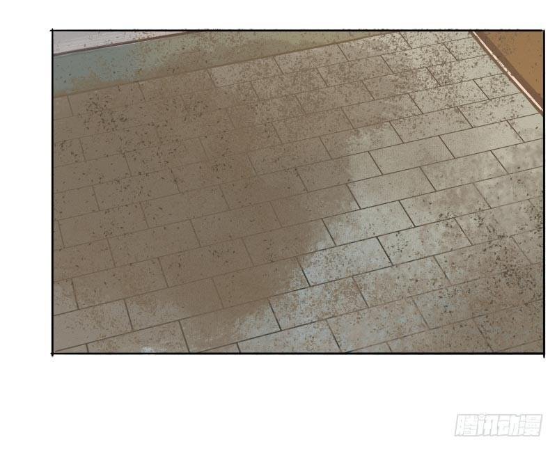 情局（十七）