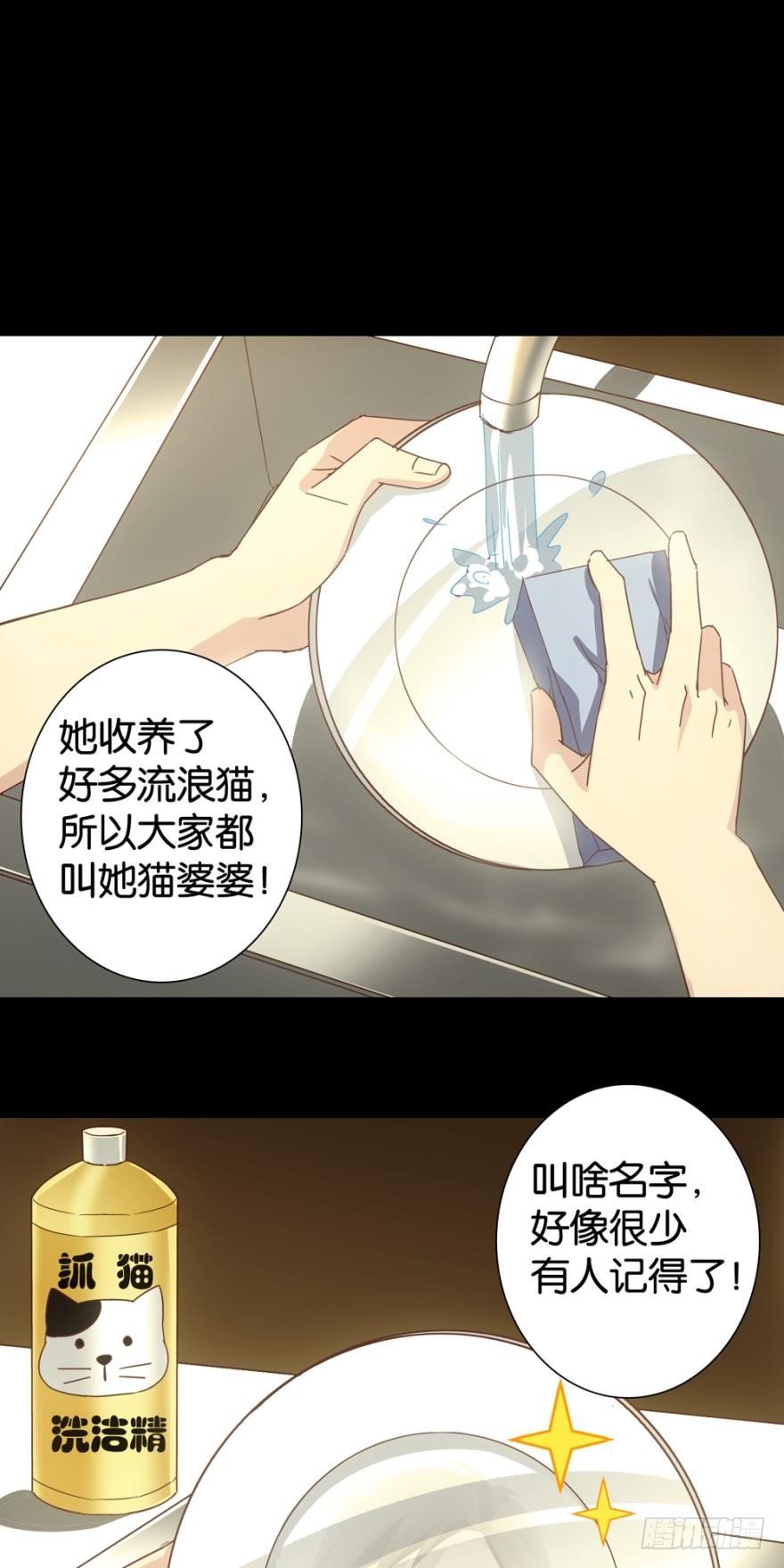 猫雀之争——寻猫婆婆