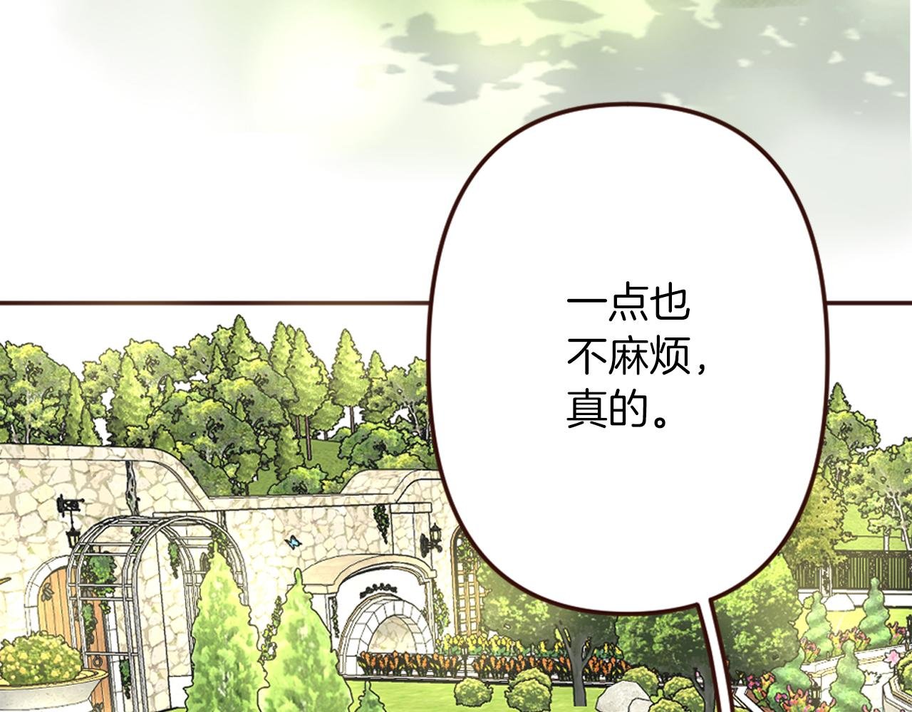 第16话 恶龙与骑士