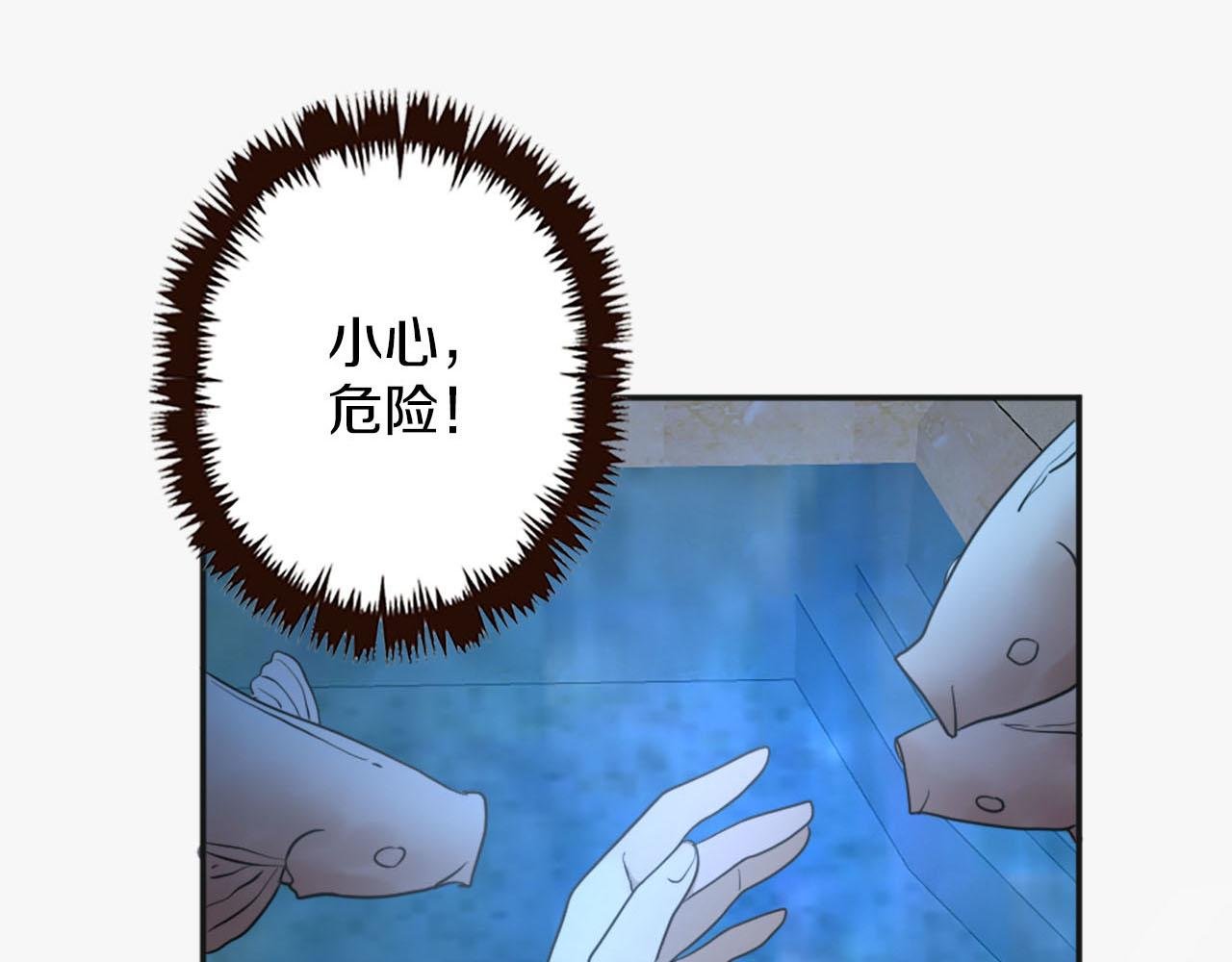 第42话 失落的灰姑娘