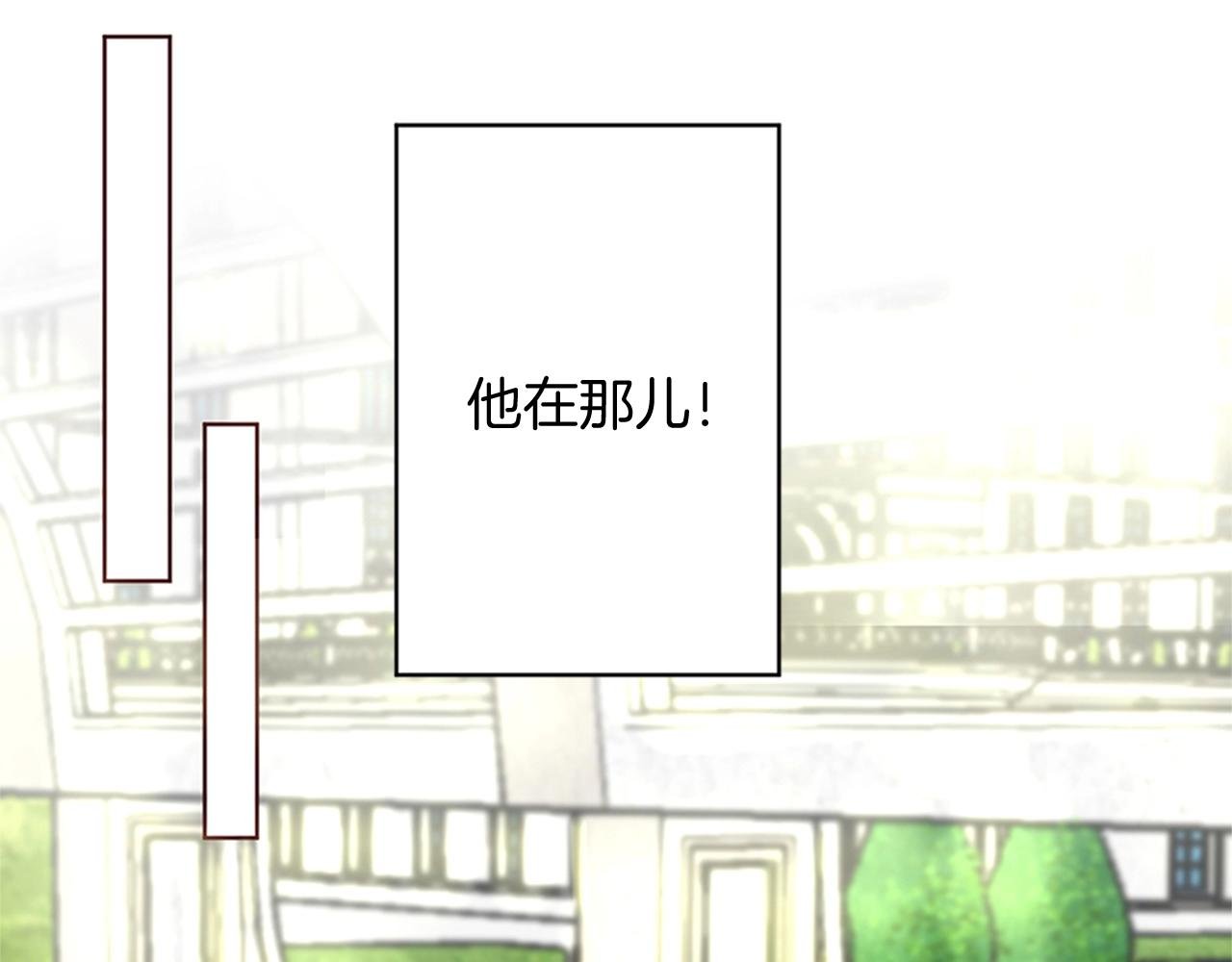 第8话 王子的计划