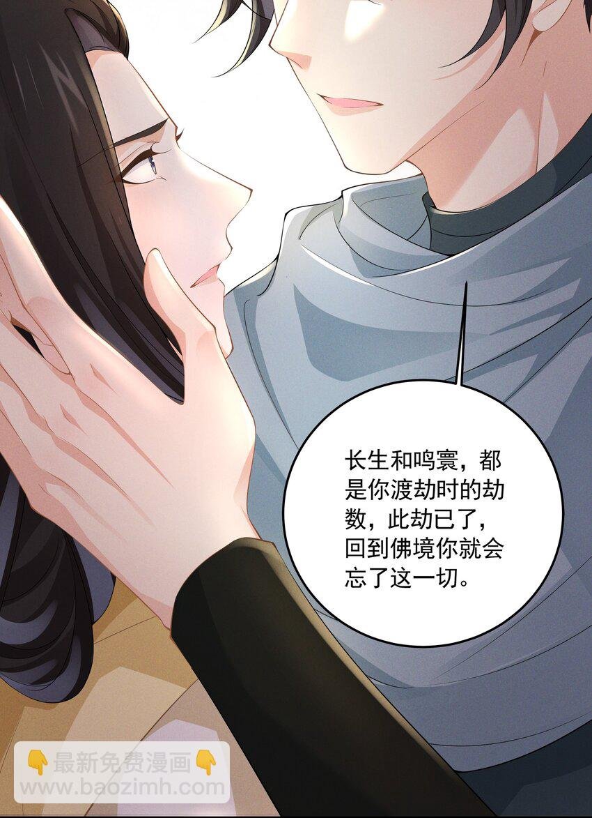 042 青山看我应如是