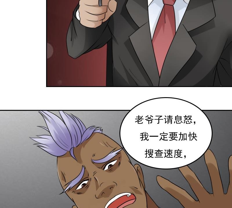第81话 两只老狐狸 上