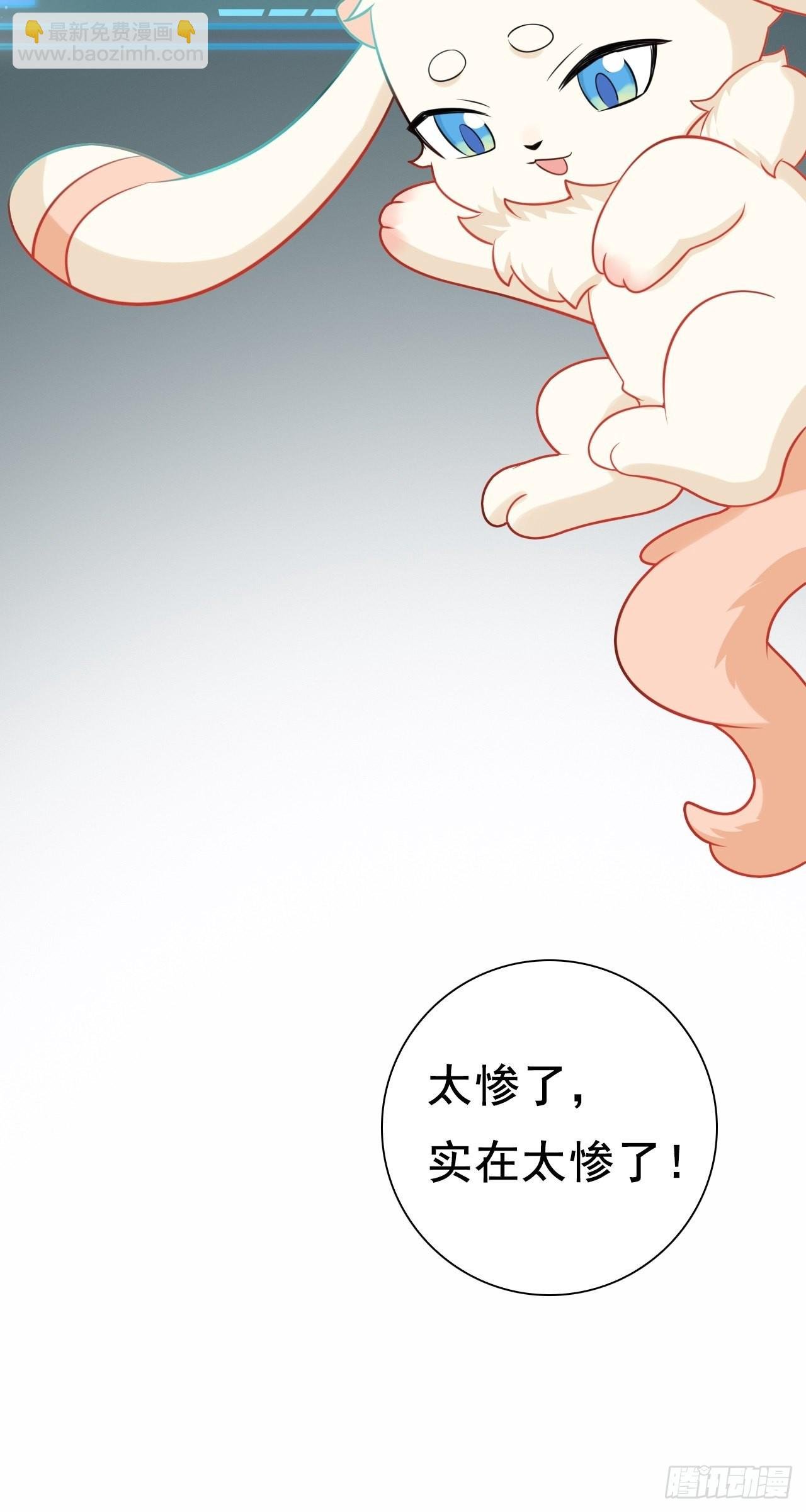第2话 大兔子系统？