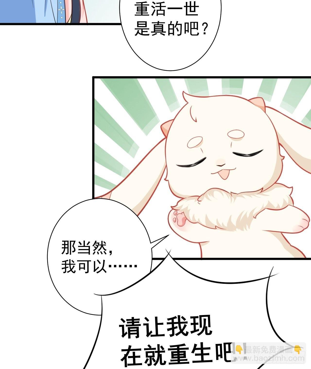 第2话 大兔子系统？