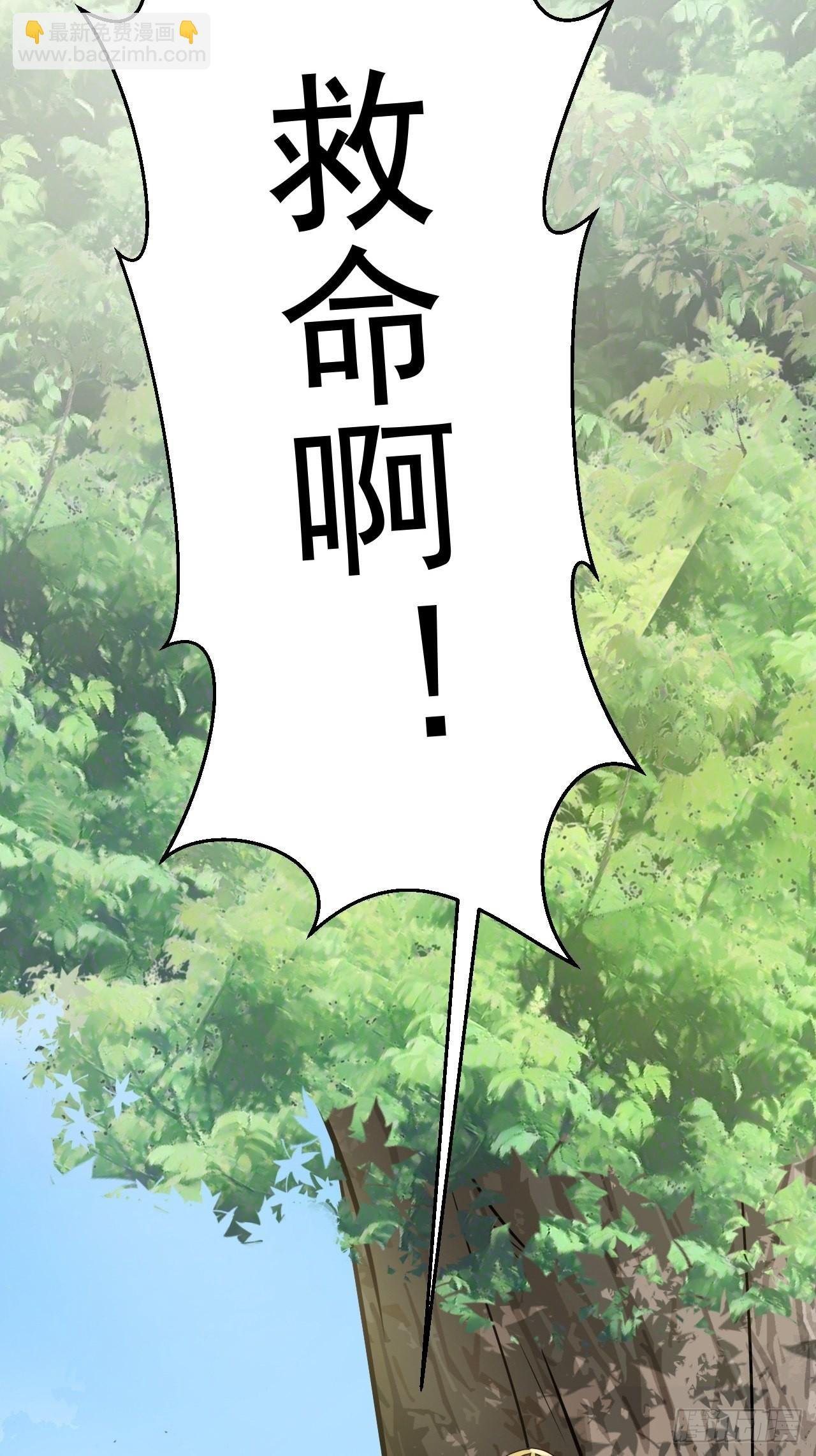 第5话 看“茶”表演