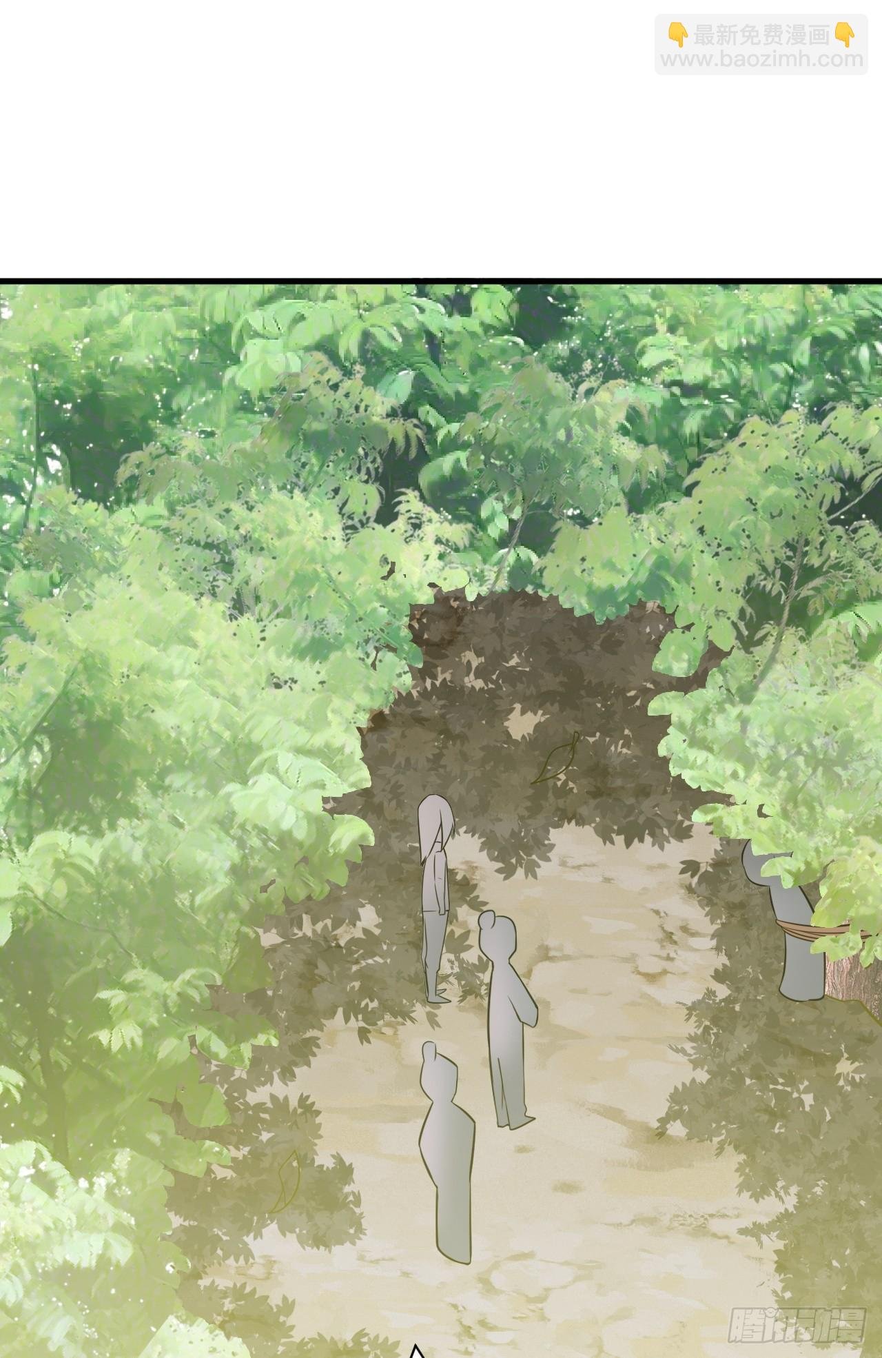 第5话 看“茶”表演