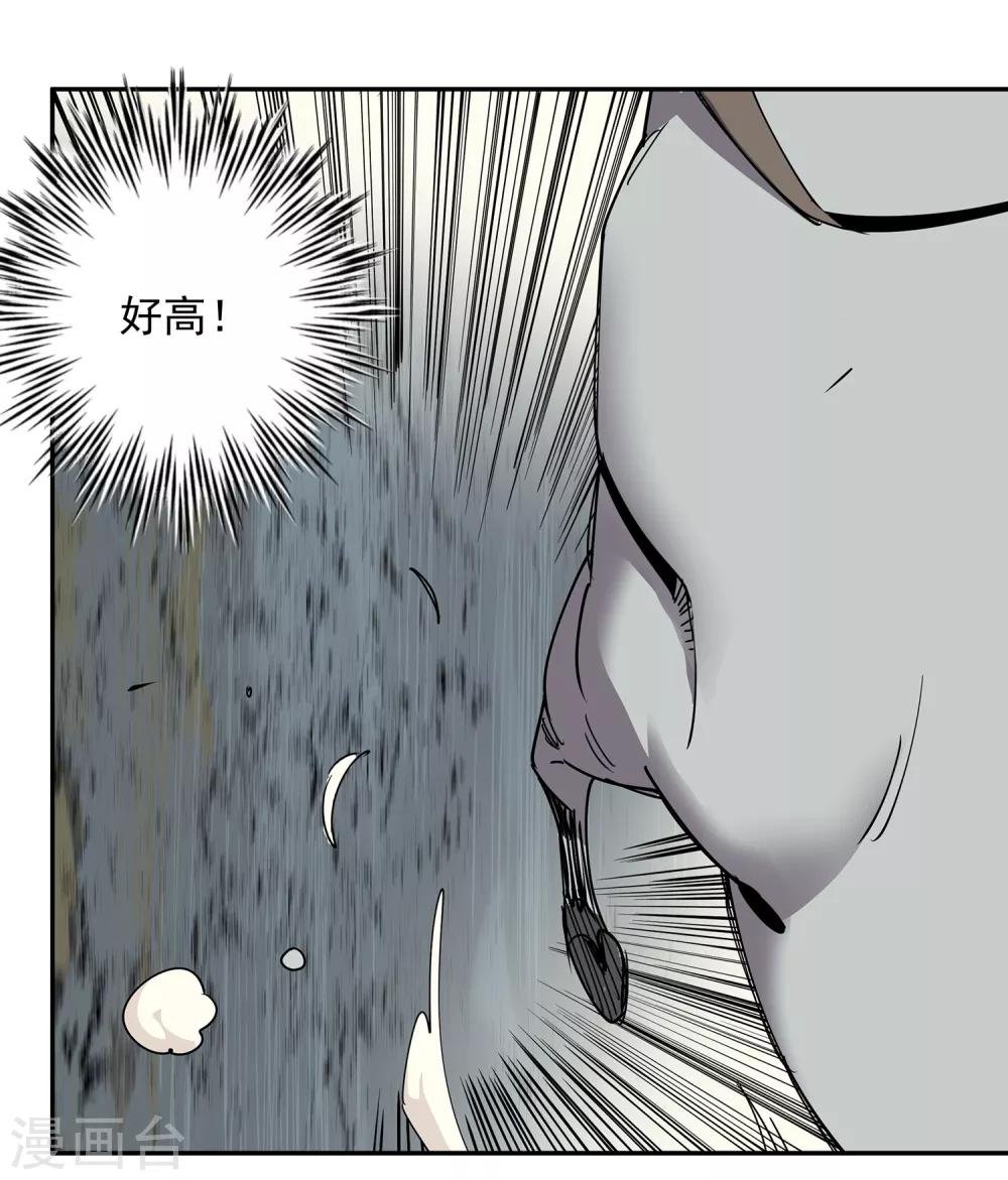 第47话 偷马贼2