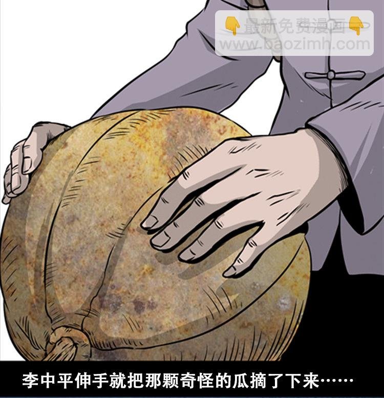 北瓜（上）