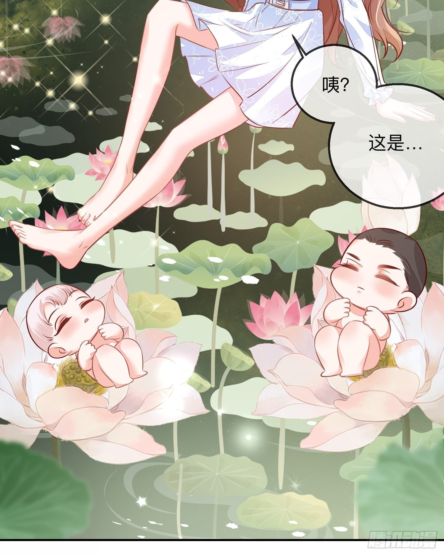 幻海的心