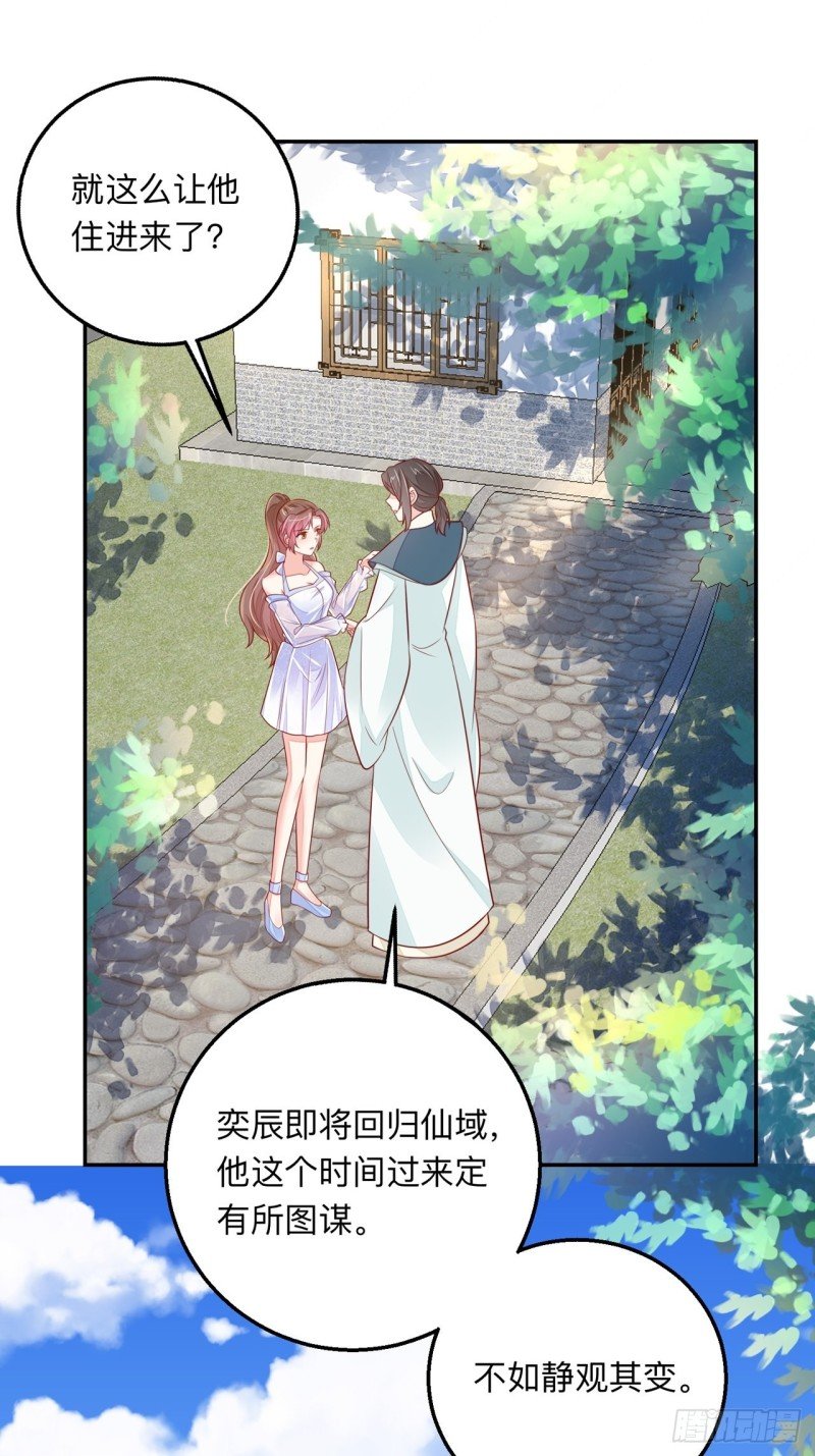 同类