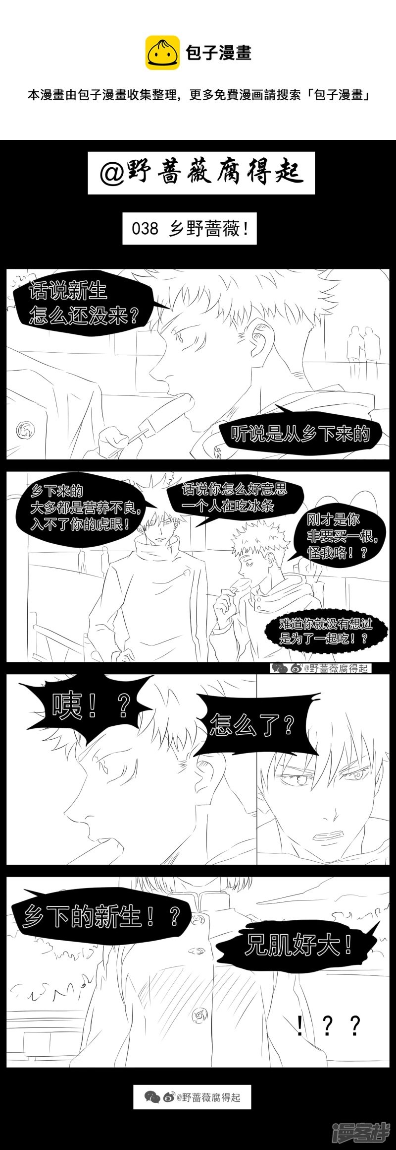 038 乡野蔷薇！