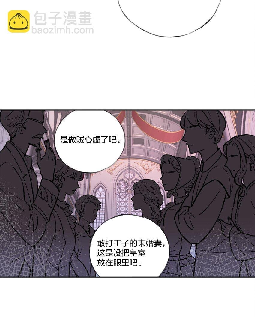 002 圣母白本白