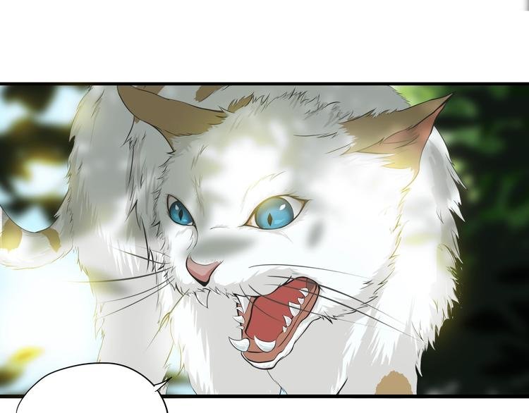 第6话 溪儿！