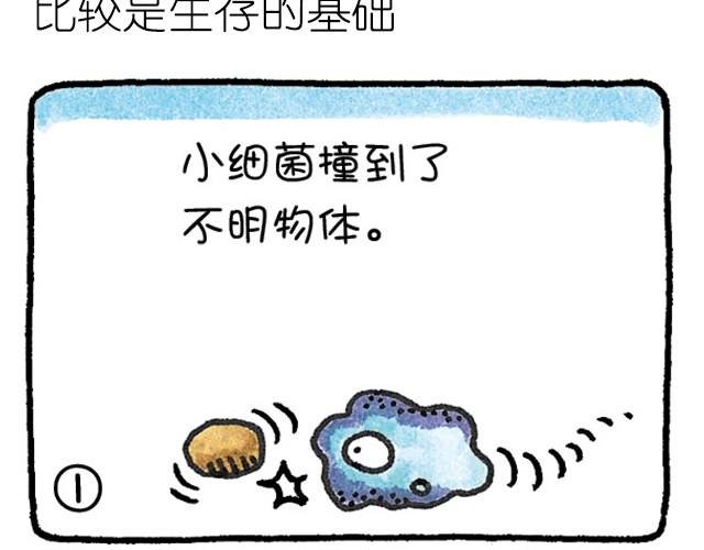 第27话 在比较中看事物