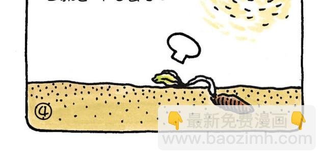 第33话 理想