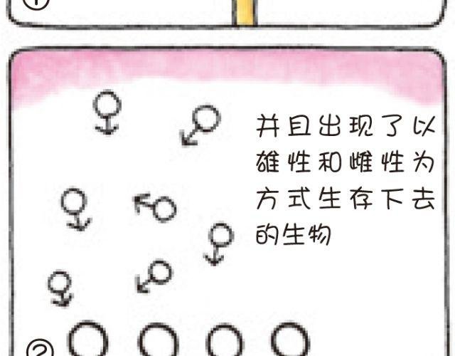 第45话 生命的河流