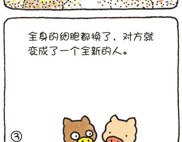 第46话 变化和永远