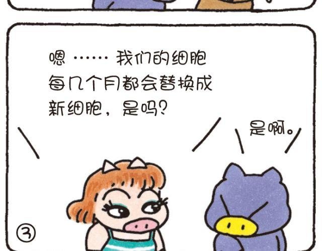 第46话 变化和永远