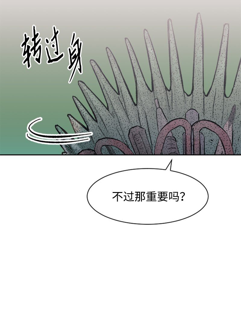 12 编织社