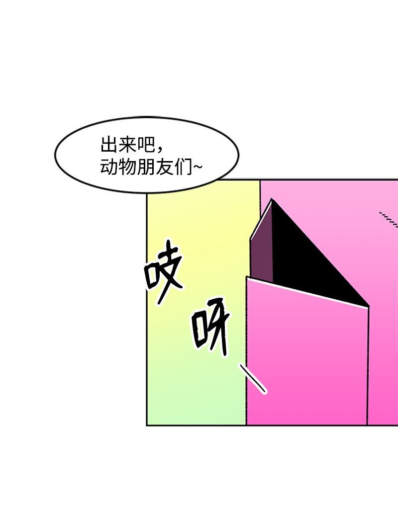 13 编织武器