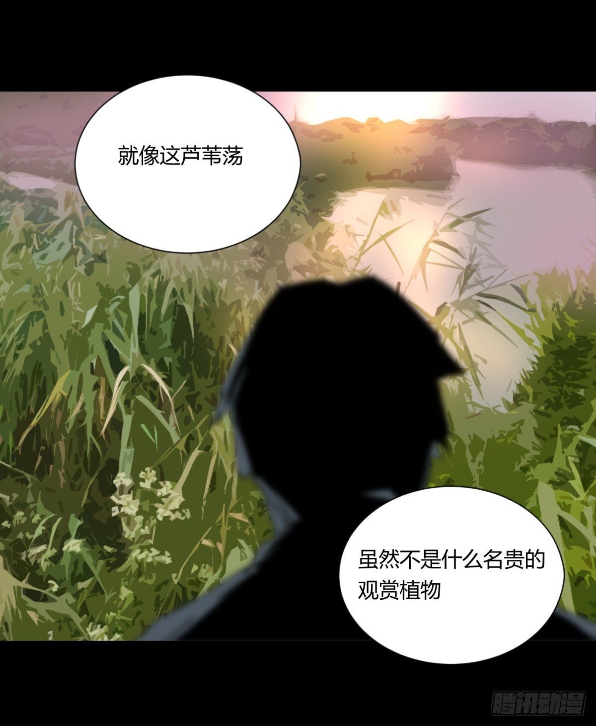 22芦苇