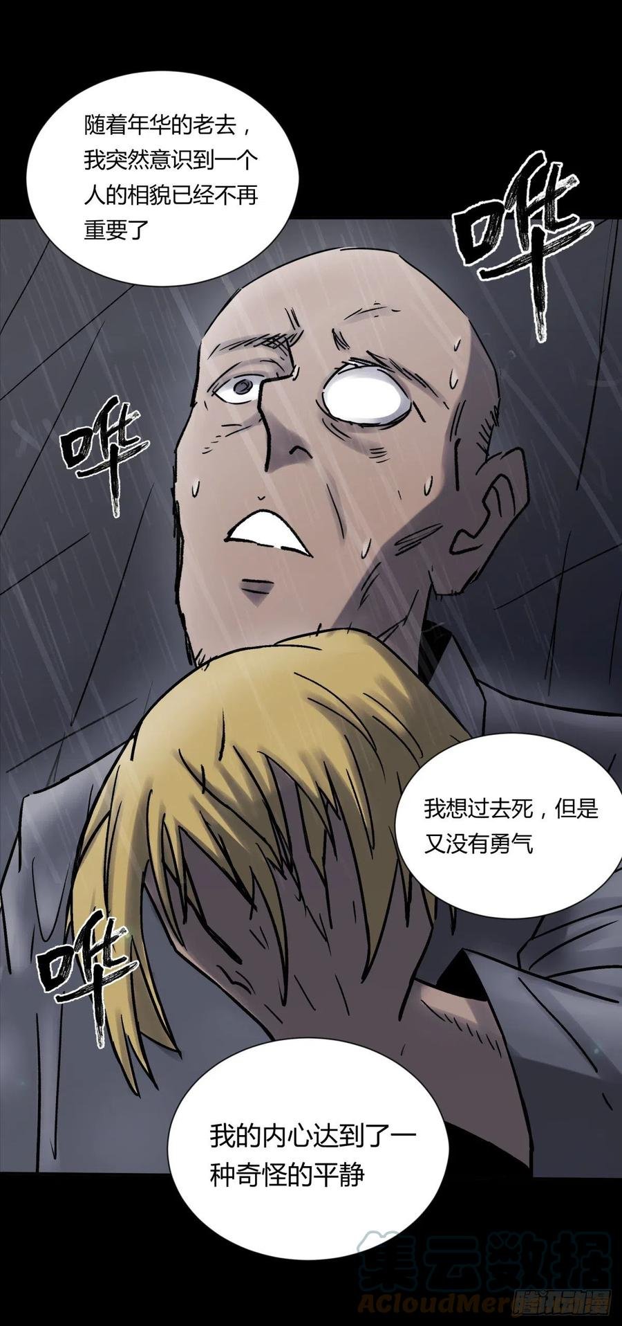 71张总