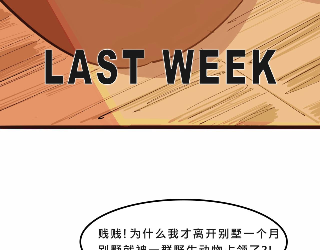 她们的自信无人可挡