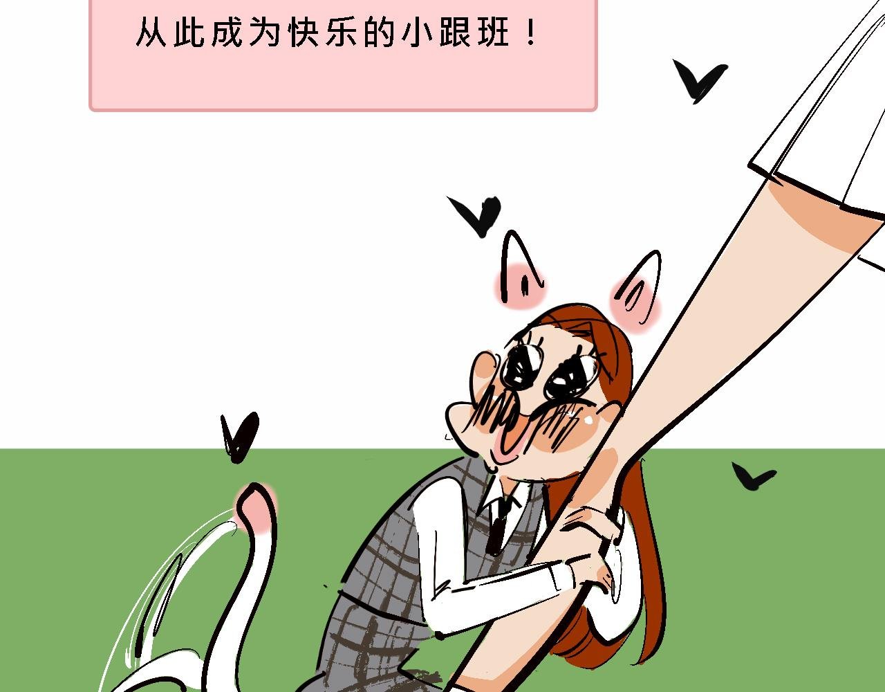 小跟班彩虹屁的第20年