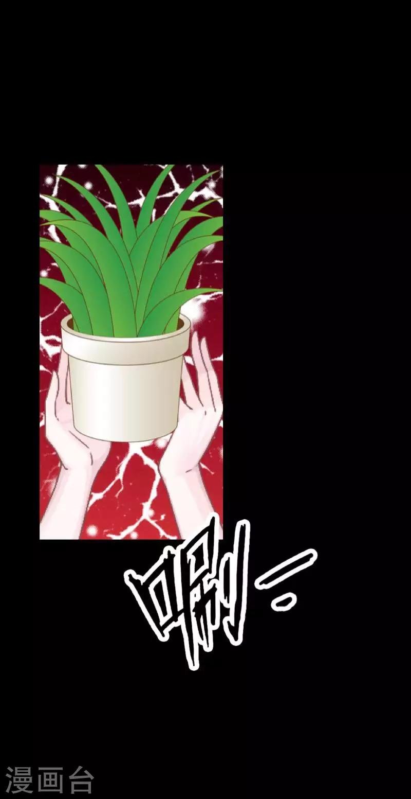 第26话 不要再糟蹋自己了
