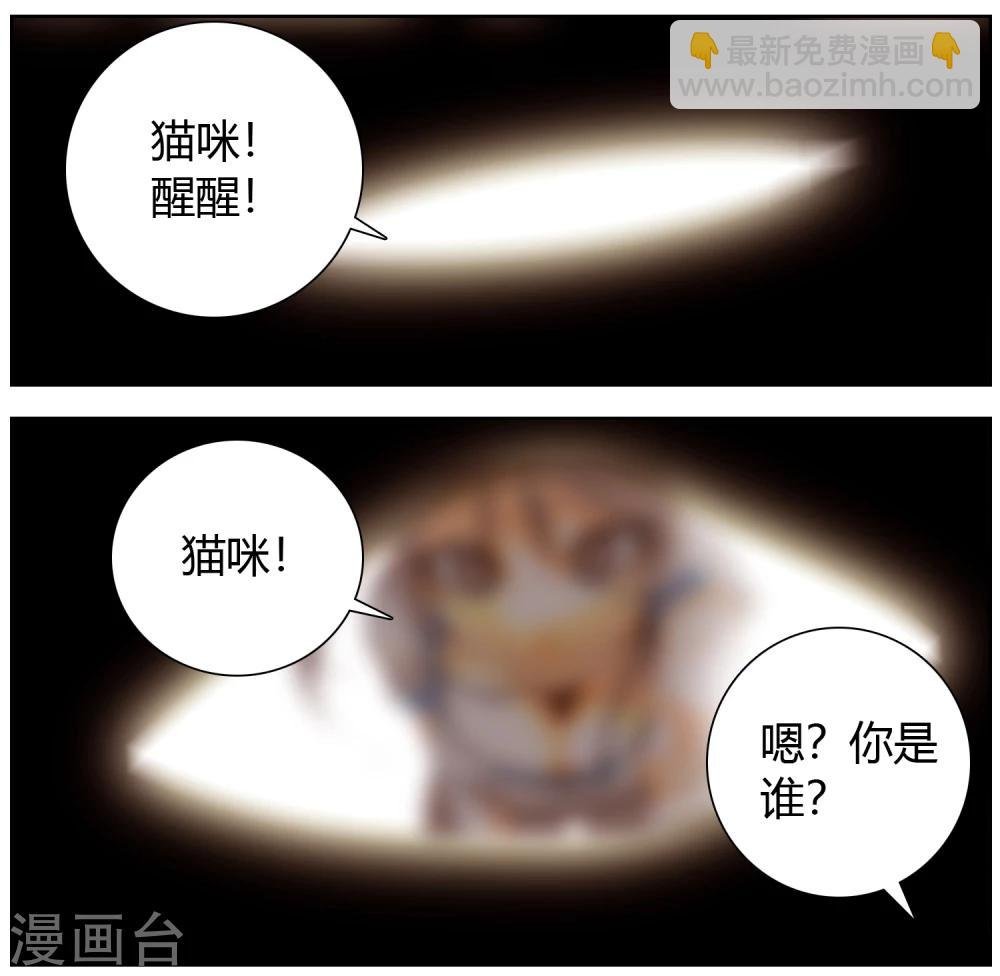 第36话 猫男的愿望