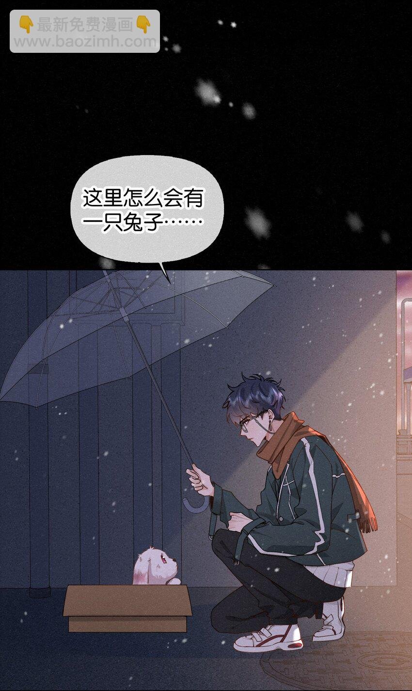 新年番外 捡到一只兔兔澜~