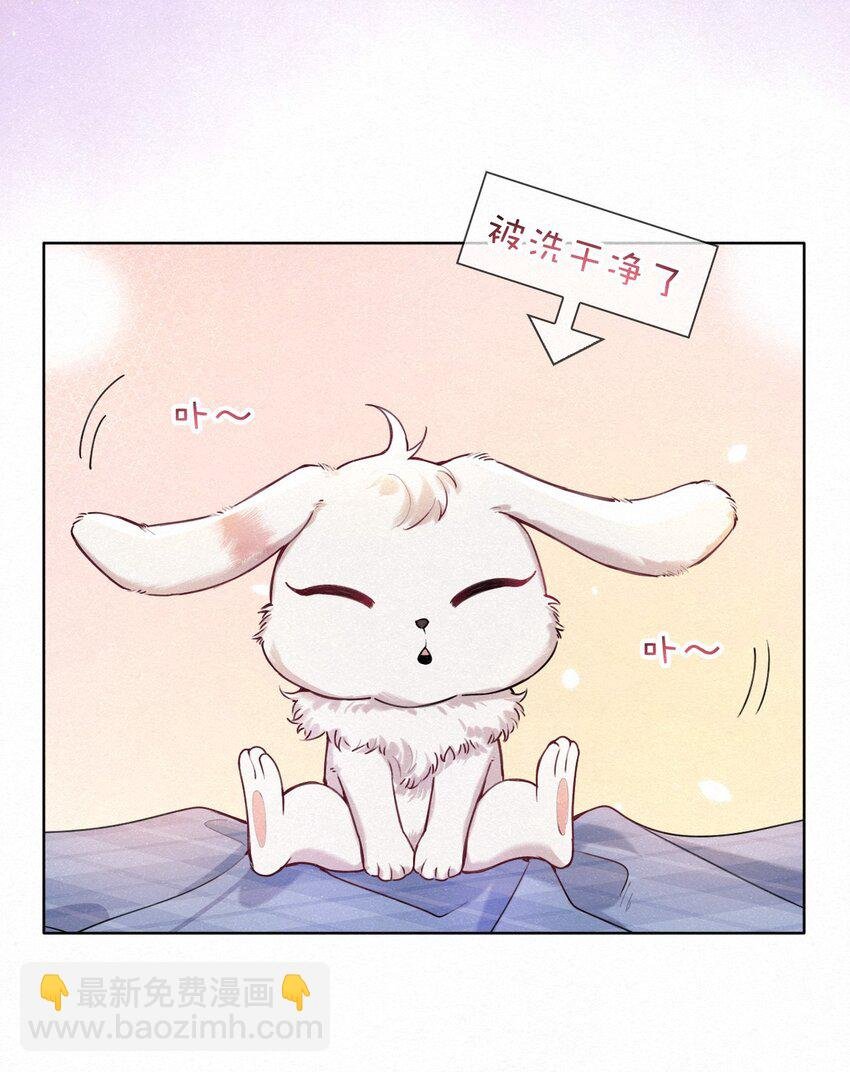 新年番外 捡到一只兔兔澜~