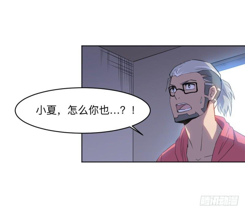 决定
