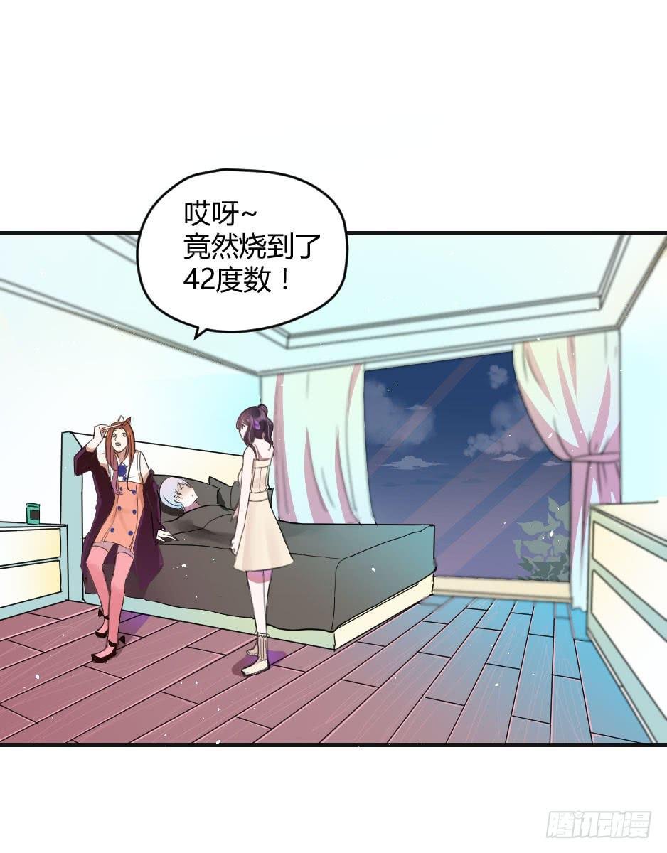 19.如果老虎会撒娇