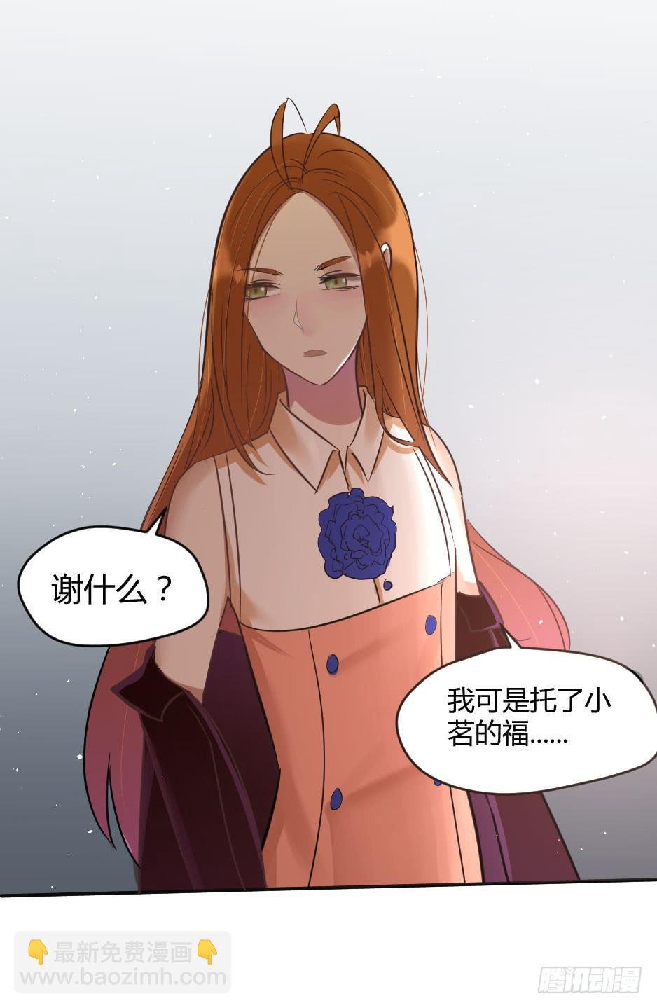 19.如果老虎会撒娇