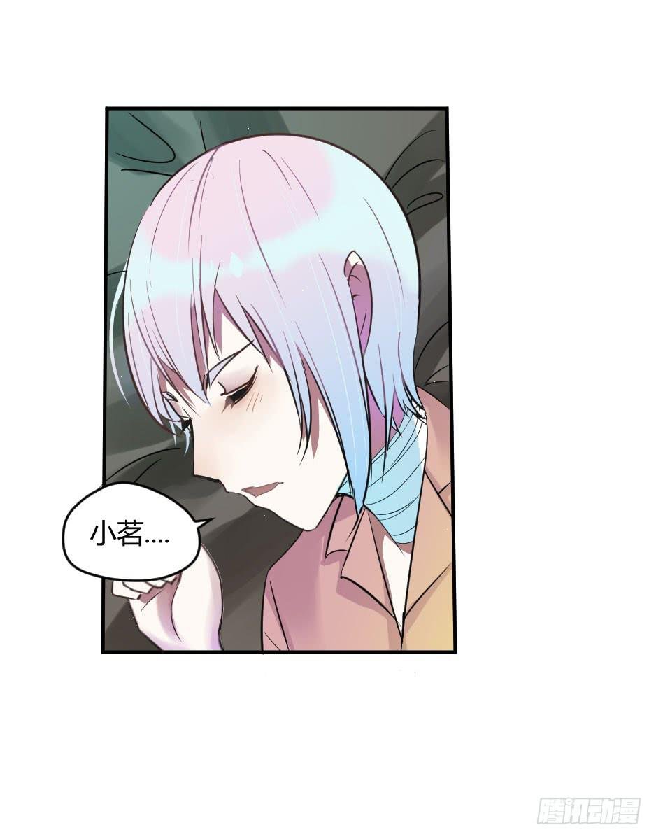 19.如果老虎会撒娇